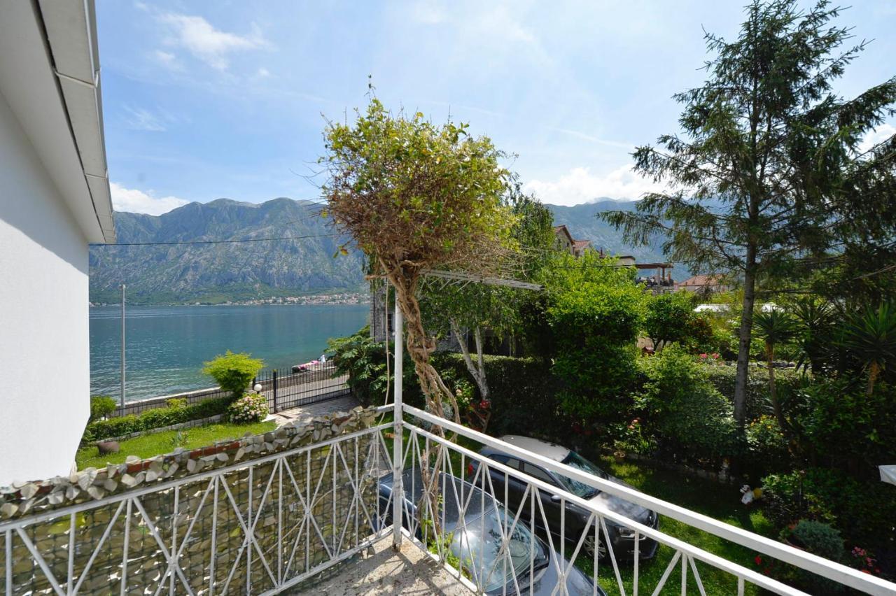 Apartments Ivanovic Kotor Ngoại thất bức ảnh