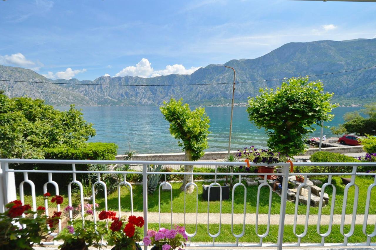 Apartments Ivanovic Kotor Ngoại thất bức ảnh