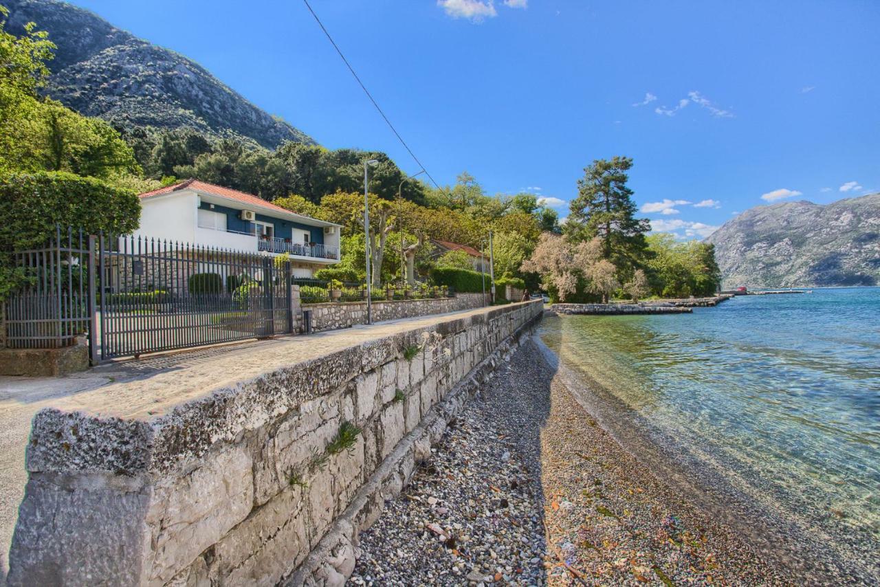 Apartments Ivanovic Kotor Ngoại thất bức ảnh